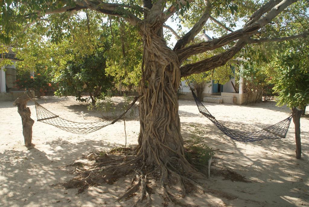 Bazouk Du Saloum Ecolodge Mar Lodj Oda fotoğraf