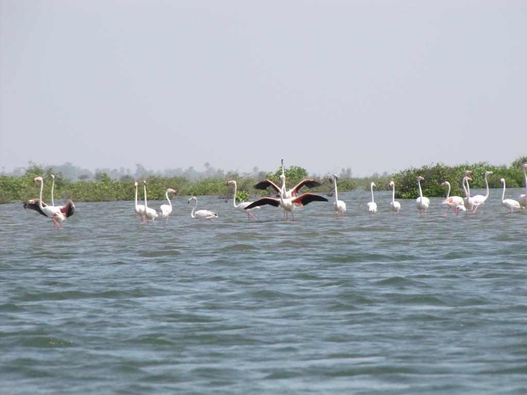 Bazouk Du Saloum Ecolodge Mar Lodj Dış mekan fotoğraf